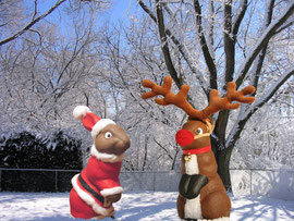 Hoppy Christmas and Harey's New Bundeer - Dedember 2008