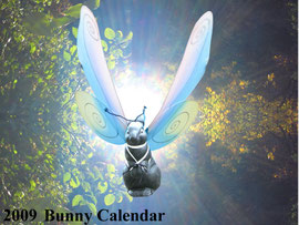 Cover 2009