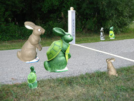 Tortoise and The Hare - October 2007