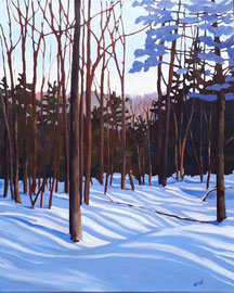 Winter Shadows  24x30 oil on gallery-profile canvas. Unframed. $1650. CA