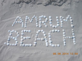 Amrum Beach aus Muscheln