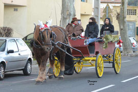 Marchés de Noël 2014 - attelage avec PRUDENCE à Clermont l'Hérault