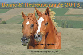 carte bonne année tête chevaux arabes
