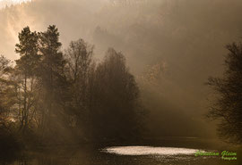 Morninglight