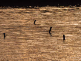 Norwegen, Mare og Romsdahl, nach dem Atlanterhavsveien, 05.06.2017