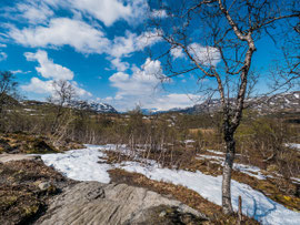 Norwegen, oberhalb Øvre Eidfjord, am Rand der Hardangervidda, 28.05.2017