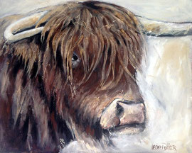  Schotse Hooglander  80x100 acryl verkocht