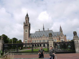 El Vedrespalais, Palau internacional de justícia i pau