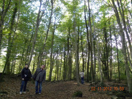 A la Fageda d'en Jordà