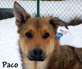 Paco