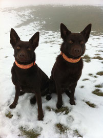 Caya und Clooney