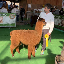 Ronja hat den 3. Platz erreicht.