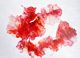 【Waltz of Roses】Acrylic on canvas, 53×73cm 2021