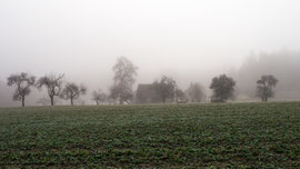 In der Nähe von St. Leonhard (Waldvietel)