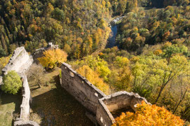 Blick von der Ruine Schauenstein (Waldvirtel)