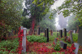 Wioener Zentralfriedhof (Jüdischer Teil)