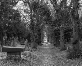 Im Zentralfriedhof