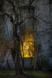 Wien