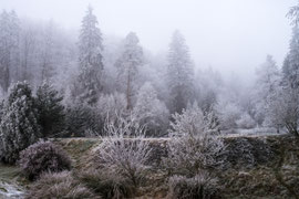 Waldviertel