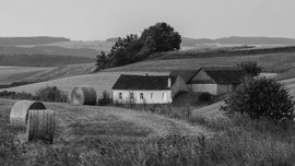 Zwischen Ramsau und Tautendorf (Waldviertel)