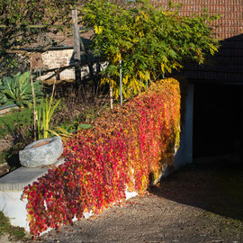 Herbst