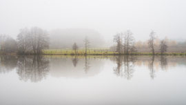 Karpfen-Teich (Waldviertel)