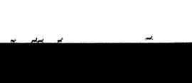 Rehe