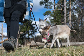 Spaziergang mit Eva (21.03.2023)
