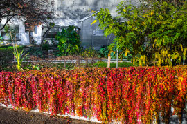 Herbst 2024