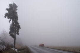 Richtung Allentsteig (Truppenübungsplatz-Waldviertel)