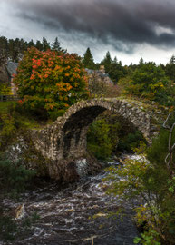 Alte Packesel Brücke in Carrbridge (Schottland)