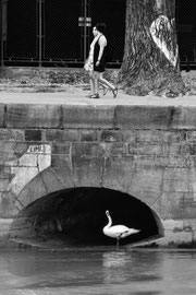Unten, am Donaukanal