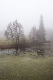 Bei St. Leonhard (Waldviertel)