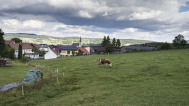Bei St. Martin im Waldviertel