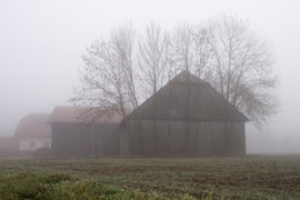 Herbst in Röhrenbach (Waldviertel)