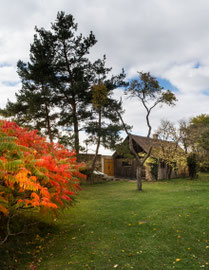Im Klostergarten von Altenburg bei Horn (Waldviertel)
