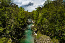 Waldviertel