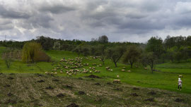 Bulgarien