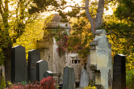 Zentralfriedhof