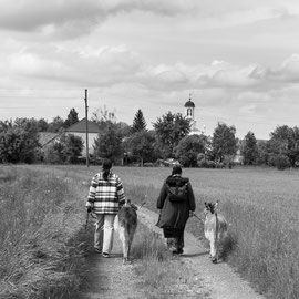 Am Heimweg von der Weide 2023