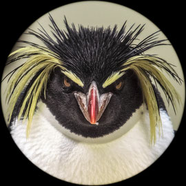 I´m not angry, really