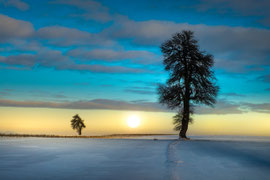 Wintersonne im Waldviertel
