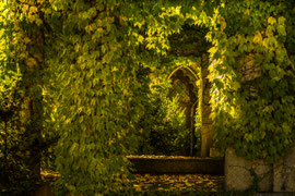 Im Wiener Zentralfriedhof