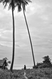 Unter Palmen