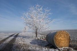 Waldviertel