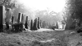 Wiener Zentralfriedhof