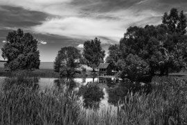 Im Waldviertel