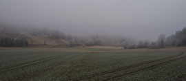 Nahe Weitra (Waldviertel)