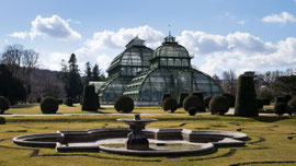 Schmetterlingshaus in Schönbrunn (Wien)