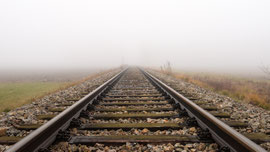 Into the Fog (Waldviertel)